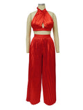 Crop Top and Pleated Pants 2pcs Set