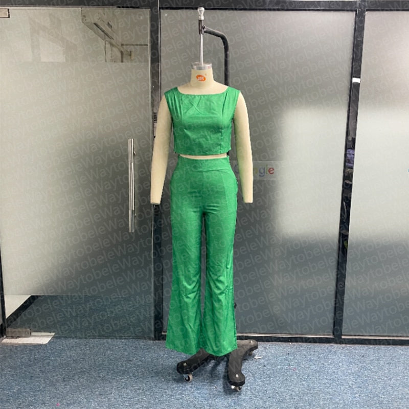 Casual Sleeveless 2Pcs Pants Set
