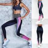 Workout High Waist Leggings - Veira Trending Shop
