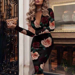 Long Sleeve Elegant Dress - Veira Trending Shop